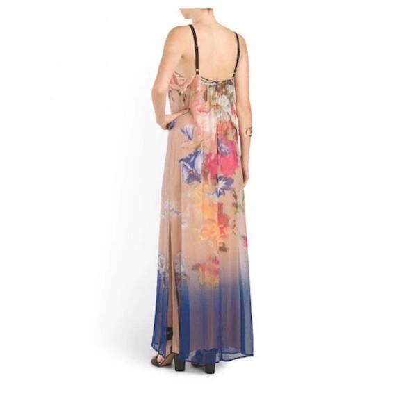 Twelfth Street by Cynthia Vincent Portrait Floral Silk Maxi Dress - Picture 13 of 15